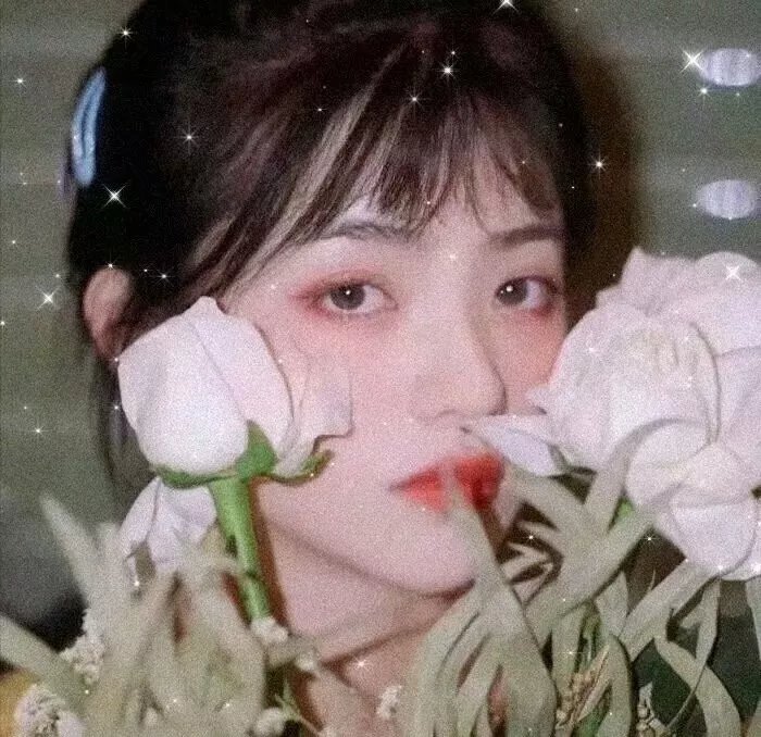 怜悯的种类